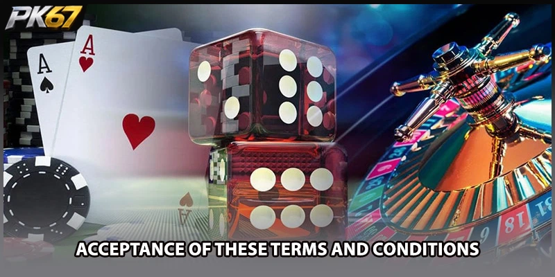 Acceptance of These Terms and Conditions