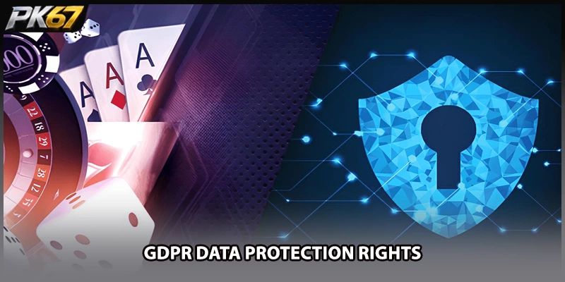 GDPR Data Protection Rights